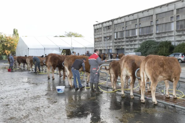 Rampe%20Lavage