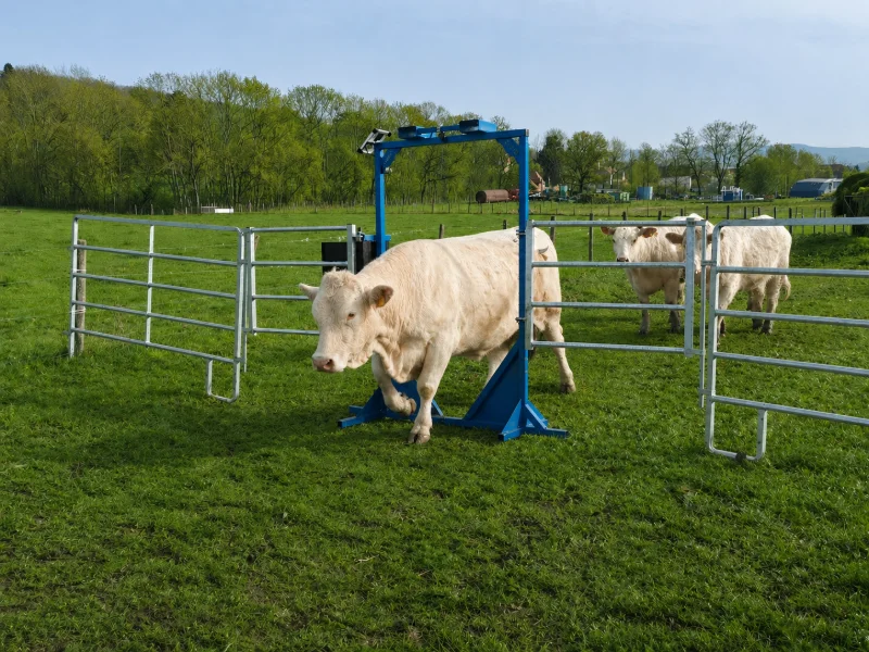 LUTTE-VECTO - Portique autonome de diffusion de bio-répulsifs pour bovins