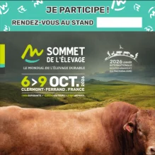Communiquer votre participation sur les réseaux sociaux