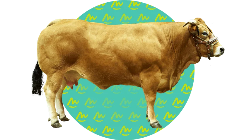 PARTHENAIS competition