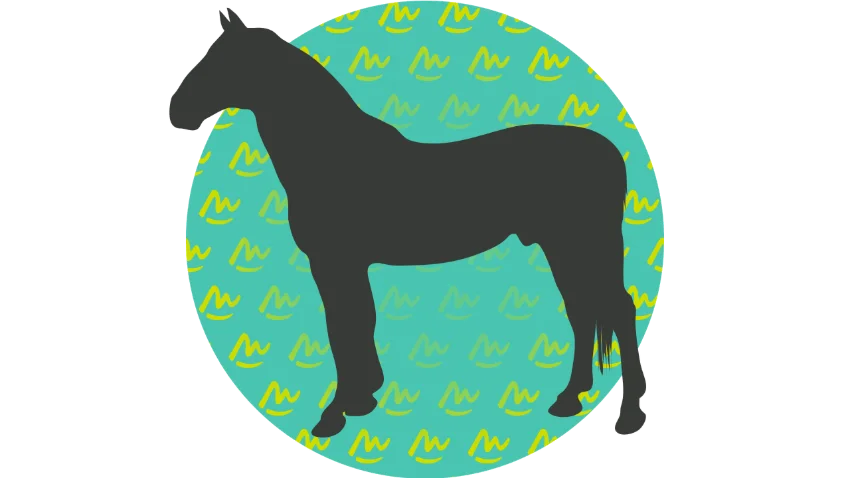 Equine parade
