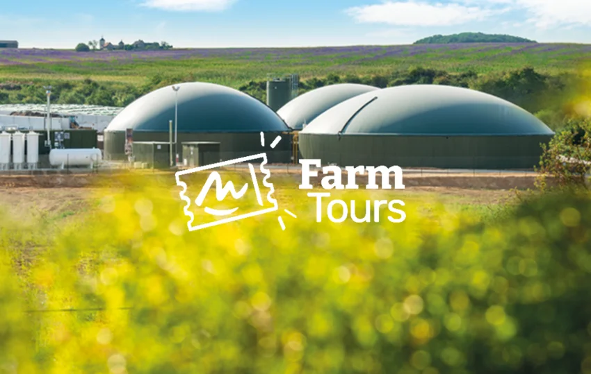 5 - Methanization unit and cattle fattening workshop