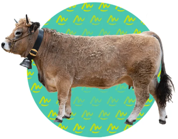 Concours AUBRAC