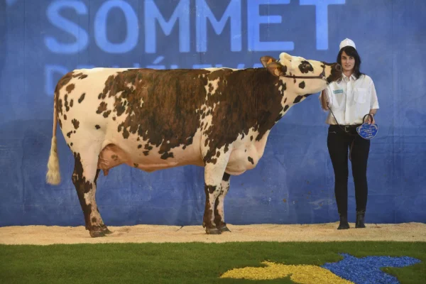 Sommet-de-l-elevage-Bovin-lait%252520(1).jpg