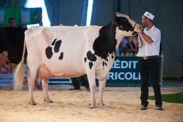 Sommet-de-l-elevage-Bovin-lait%252520(10).jpg