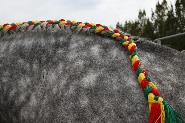 Sommet-de-l-elevage-Chevaux%252520(25).jpg