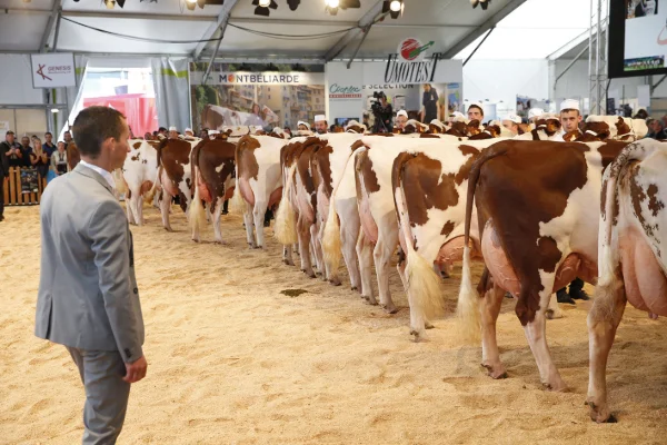 Sommet-de-l-elevage-Bovin-lait%252520(32).jpg
