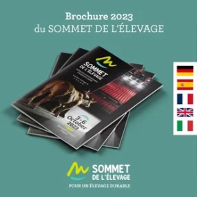 The 2023 brochure in 5 languages