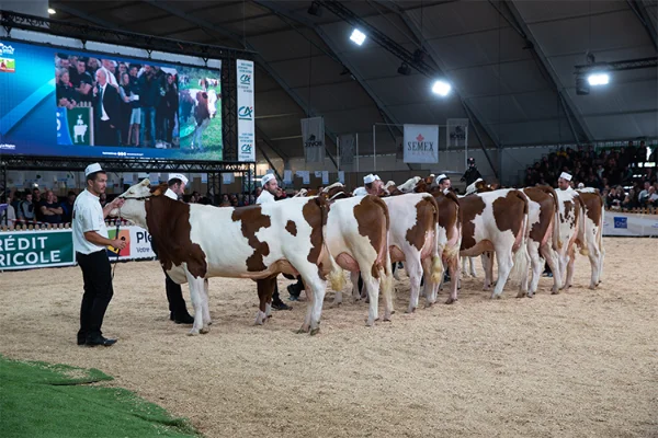Sommet-de-l-elevage-Bovin-lait%252520(4).jpg
