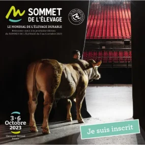 Votre participation au Sommet sur les réseaux sociaux