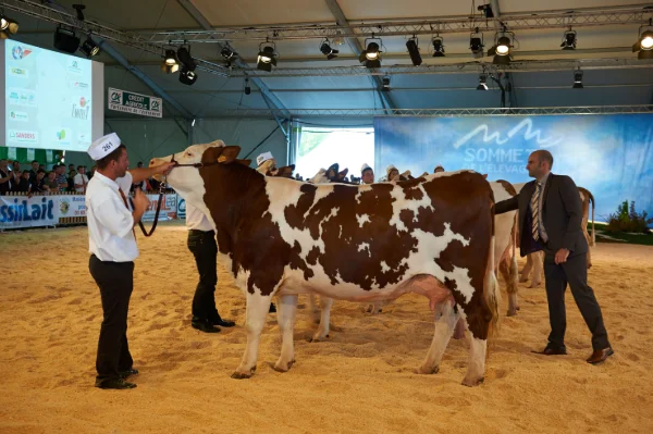 Sommet-de-l-elevage-Bovin-lait%252520(6).jpg