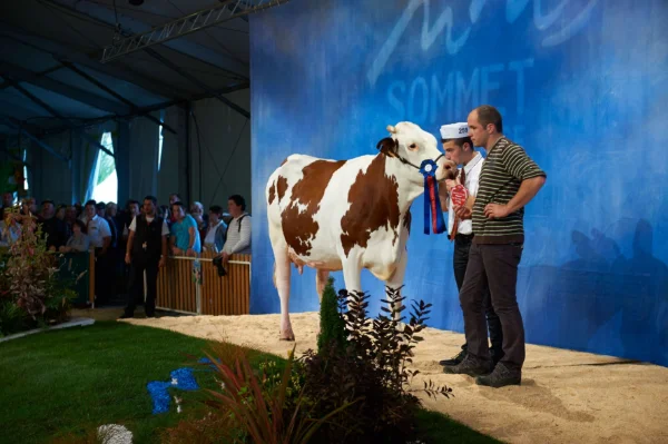 Sommet-de-l-elevage-Bovin-lait%252520(7).jpg