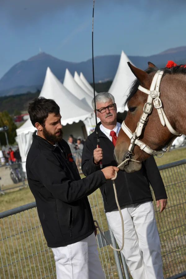 Sommet-de-l-elevage-Chevaux%252520(12).jpg