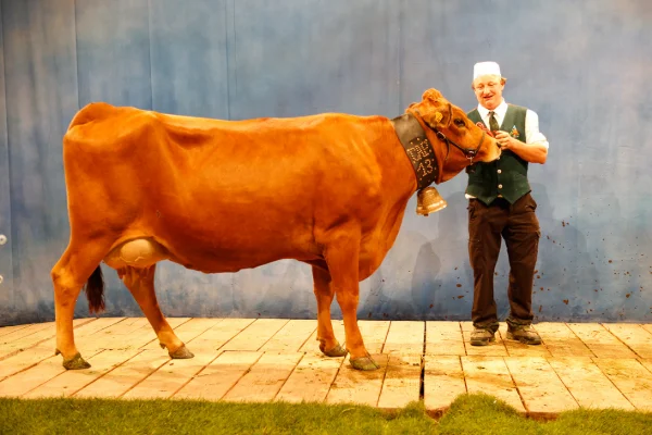 Sommet-de-l-elevage-Bovin-lait%252520(37).jpg