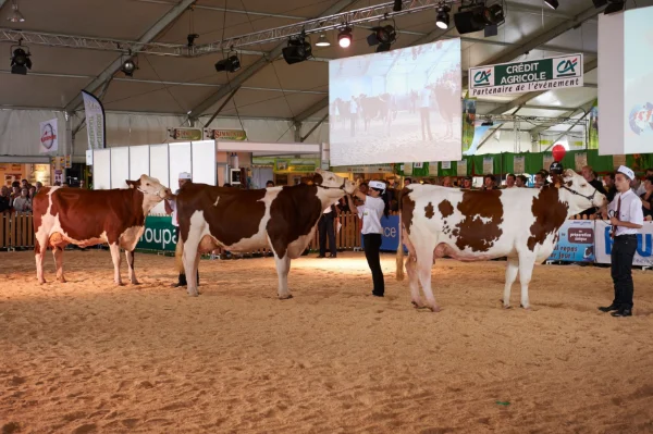 Sommet-de-l-elevage-Bovin-lait%252520(9).jpg