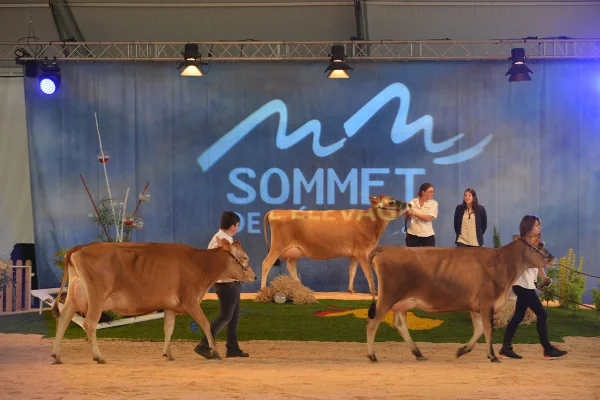 Sommet-de-l-elevage-Bovin-lait%252520(17).jpg