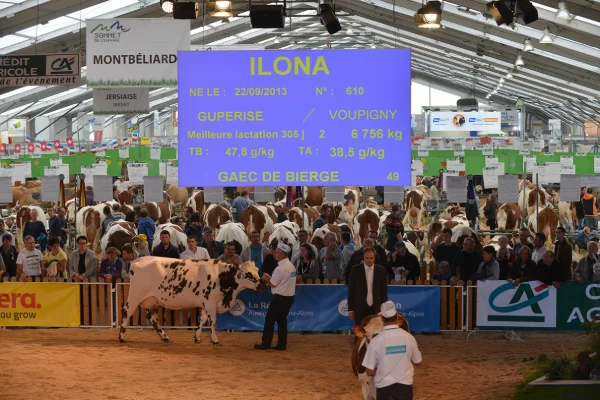 Sommet-de-l-elevage-Bovin-lait%252520(27).jpg