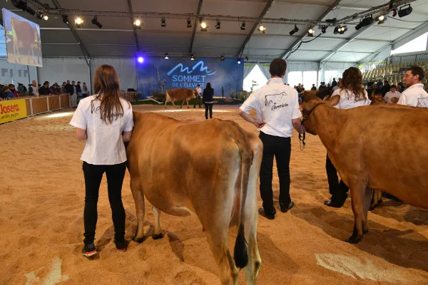 Sommet-de-l-elevage-Bovin-lait%252520(19).jpg