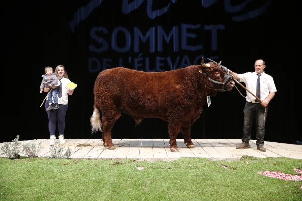 Sommet-de-l-elevage-Bovin-viande%252520(33).jpg