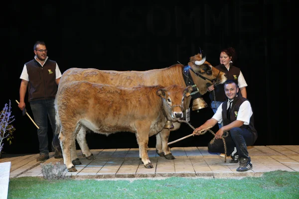 Sommet-de-l-elevage-Bovin-viande%252520(34).jpg