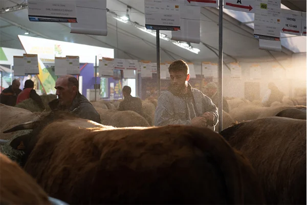 Sommet-de-l-elevage-Bovin-viande%252520(35).jpg
