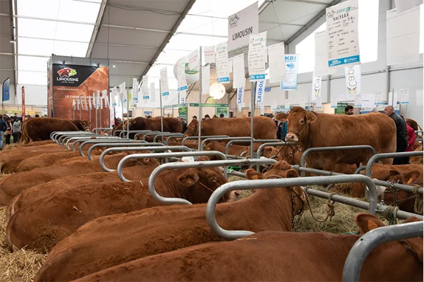 Sommet-de-l-elevage-Bovin-viande%252520(37).jpg