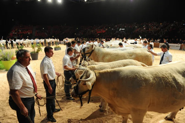 Sommet-de-l-elevage-Bovin-viande%252520(6).jpg