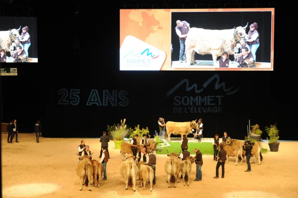 Sommet-de-l-elevage-Bovin-viande%252520(9).jpg