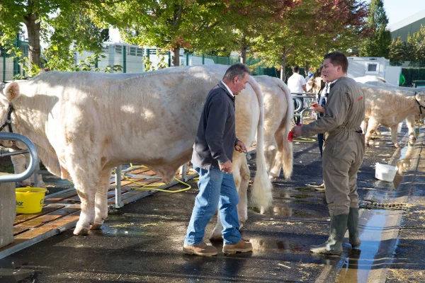 Sommet-de-l-elevage-Bovin-viande%252520(28).jpg