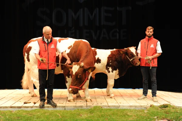 Sommet-de-l-elevage-Bovin-viande%252520(12).jpg