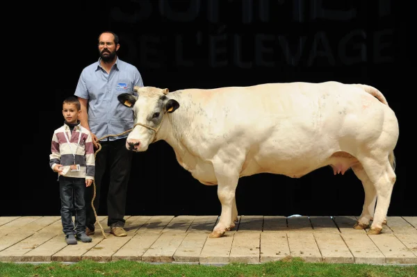 Sommet-de-l-elevage-Bovin-viande%252520(13).jpg
