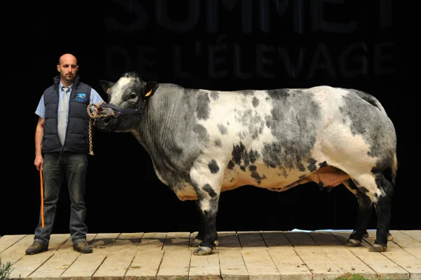 Sommet-de-l-elevage-Bovin-viande%252520(14).jpg