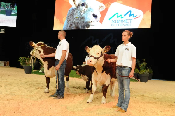 Sommet-de-l-elevage-Bovin-viande%252520(16).jpg
