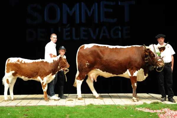 Sommet-de-l-elevage-Bovin-viande%252520(19).jpg