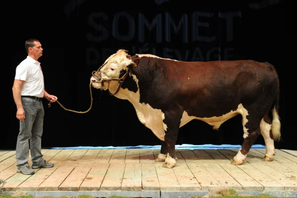 Sommet-de-l-elevage-Bovin-viande%252520(17).jpg