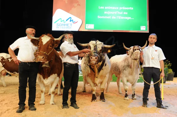 Sommet-de-l-elevage-Bovin-viande%252520(20).jpg