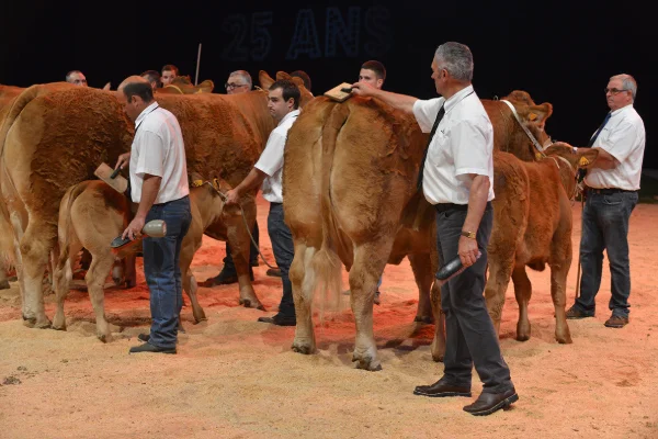 Sommet-de-l-elevage-Bovin-viande%252520(21).jpg