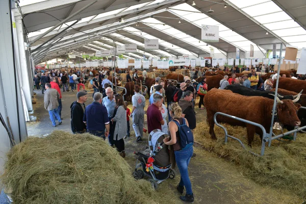 Sommet-de-l-elevage-Bovin-viande%252520(22).jpg