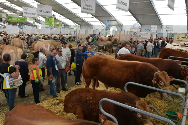 Sommet-de-l-elevage-Bovin-viande%252520(23).jpg