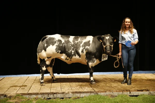 Sommet-de-l-elevage-Bovin-viande%252520(25).jpg