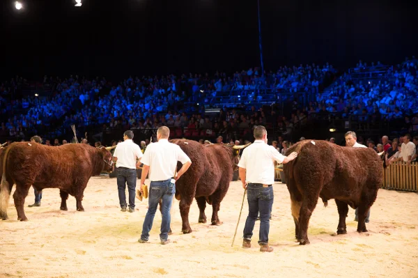 Sommet-de-l-elevage-Bovin-viande%252520(26).jpg