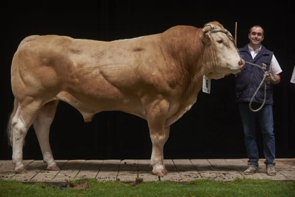 Sommet-de-l-elevage-Bovin-viande%252520(2).jpg