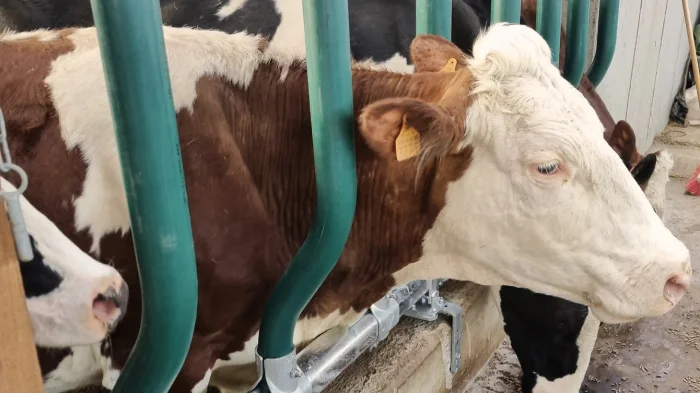 Lauréats 2023 – Bien-être animal