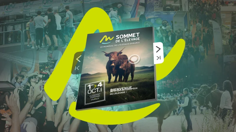 Notre Web Publication