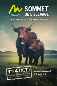 L'identité visuelle - Affiche 2024
