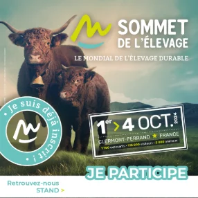 Your participation in Sommet on social networks