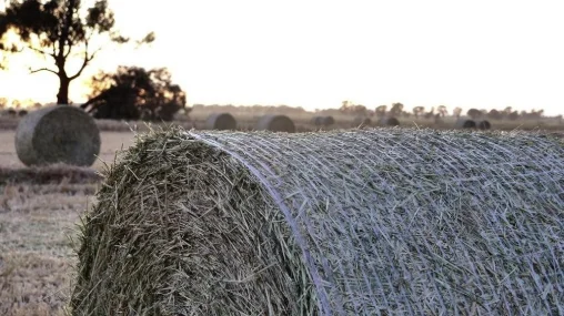 Prix Vert : solution recyclable de liage pour balles rondes de Tama